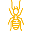 Termite Free